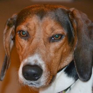 Meet your Posher, Janice